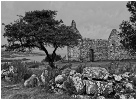 Ruin in the Bay - Fraser Johnston