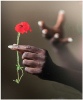 The Hands of Remembrance - David Ormerod